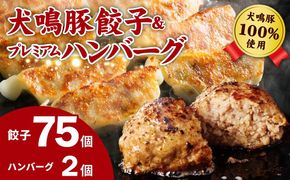 G5372 犬鳴豚餃子 75個 ハンバーグ 2個 セット【国産 豚肉 泉佐野ブランド豚 犬鳴ポーク 焼くだけ 人気 総菜 冷凍】