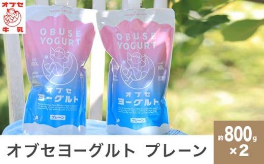 オブセヨーグルト (プレーン) 2個セット［オブセ牛乳］ヨーグルト 乳製品 食品  お取り寄せ グルメ 生乳100% 朝食 スイーツ おやつ 冷蔵 長野県小布施町産［G-41］