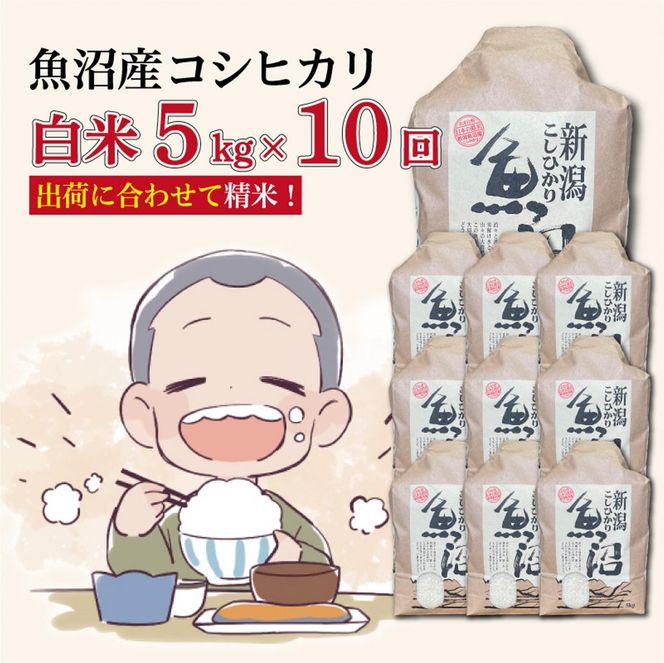 【１０か月定期便】令和８年産新米　魚沼産コシヒカリ 精米５kg×１０回　計50kg