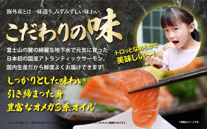 小山町産アトランティックサーモン（冷凍）サーモン漬け丼　食べ比べセット（4つの味×2パック）