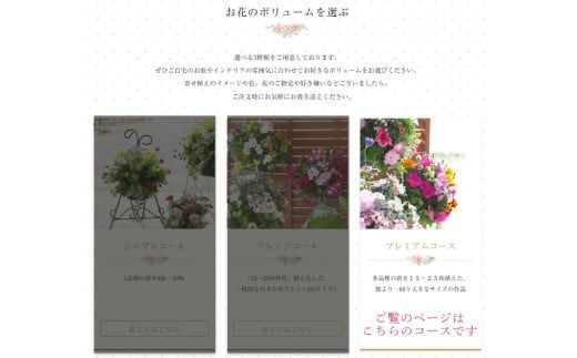 A059【ふるさと納税】花 定期便 花うるる ハンギング 寄せ植え プレミアムコース【全6回】 (サブスク ハンギングバスケット 屋外 春 夏 秋 冬 母の日 定期購入 ギフト フラワー 玄関 プレゼント 通販 鉢植え おしゃれ 玄関 ガーデニング フラワーギフト 完成品 花苗 寄植え 園芸 お花