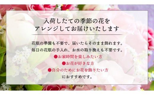 季節のお花アレンジメント 【選べるサイズと回数】ミニ S M L LL 単品 定期便 6回 12回 アレンジメント 花 お花 生花フラワー ギフト プレゼント [CT013ci00]
