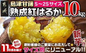 先行受付!【11月お届け】島津甘藷　熟成紅はるか 10kg(S～2S)_12-A7-001-10kg-m-11