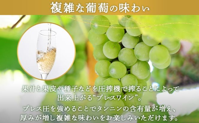 北海道産 スパークリング ワイン 750ml 2本 KPワイン Tテロワール ぶどう ナイアガラ 葡萄 ブドウ 白ワイン 辛口 酒 お酒 贈答 贈り物 お祝い ギフト 記念日 送料無料 