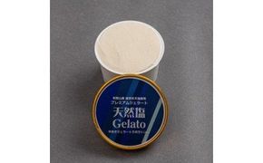 プレミアムジェラート 天然塩 100ml×12個_V7133