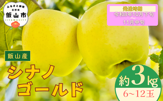 【先行予約丨2026年10月下旬より順次発送】シナノゴールド【約3kg (6〜12玉)】(At-014)丨長野県 飯山市 おすすめ ランキング おいしい 高評価 大人気 先取り 産地直送 りんご