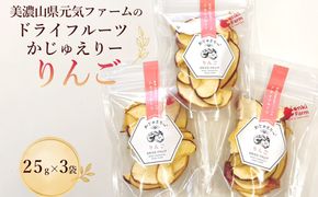 美濃山県元気ファームのドライフルーツかじゅえりー　りんご  [No.1105]
