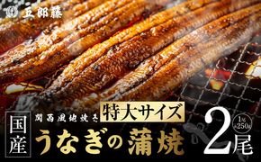 015B753 老舗【五郎藤】 関西風地焼き 国産有頭旨鰻 250g×2尾 特大 うなぎ ウナギ 蒲焼き 炭火
