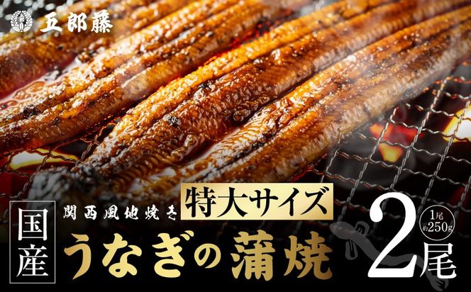 015B753 老舗【五郎藤】 関西風地焼き 国産有頭旨鰻 250g×2尾 特大 うなぎ ウナギ 蒲焼き 炭火