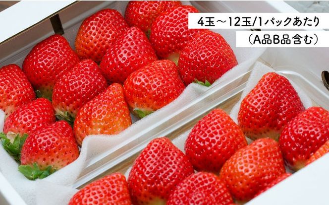 【農園直送】糸島のあまおう 270g×2パック (サイズおまかせL〜5L) 果物 フルーツ いちご / 糸島市 / 磯本農園 / TANNAL[ATB003]