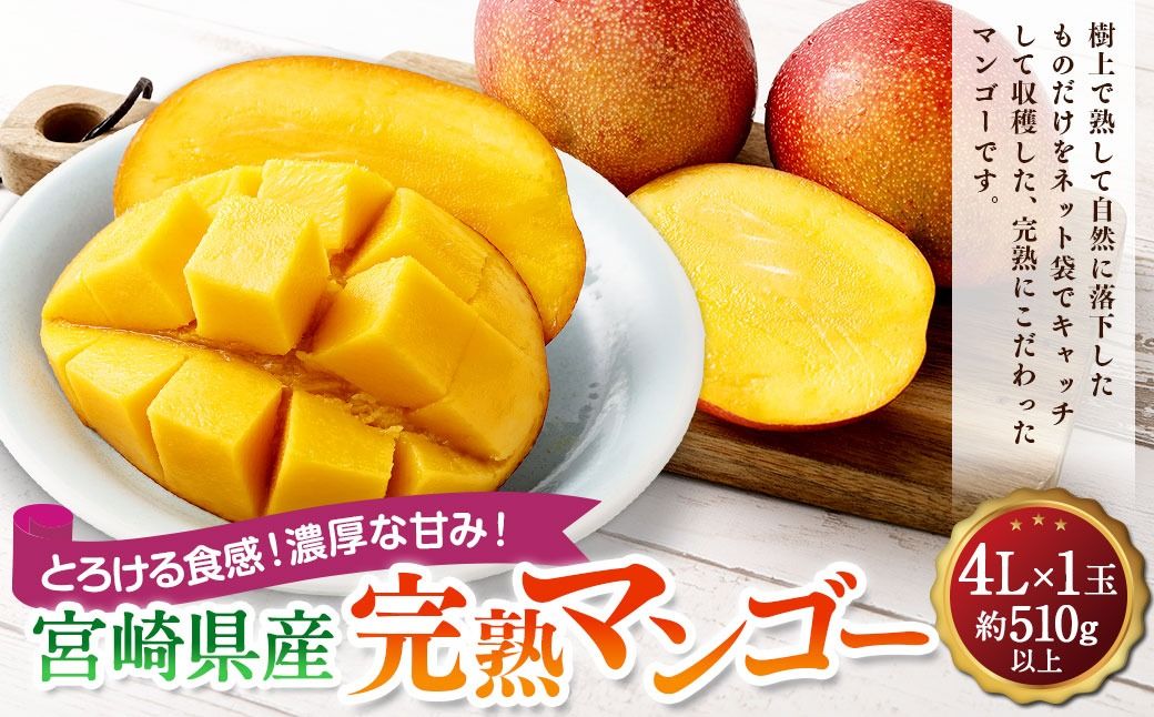 [宮崎県産完熟マンゴー 4L×1玉(510g以上)]2026年4月中旬〜7月下旬までに順次出荷[c1129_mm_x2]
