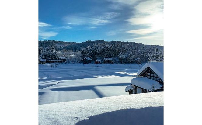 令和7年産 魚沼産コシヒカリ【精米】10kg