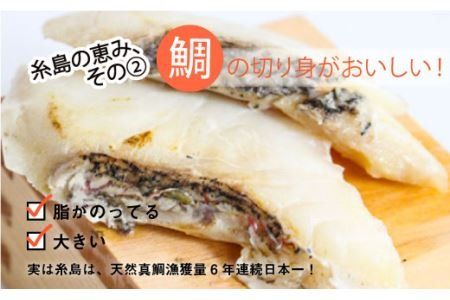 鯛だし まるいと ちゃんぽん ( 2食入 × 3箱 / 合計6食 ） 糸島市/やますえ [AKA017] 真鯛 切り身 麺 鯛出汁 タイ たい ちゃんぽん麺 チャンポン 真鯛 スープ 糸島産