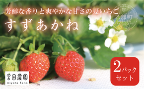 ＜すずあかね 2パックセット＞ 北海道 道産 夏いちご すずあかね