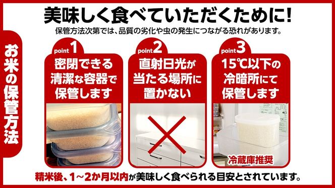★新米 先行予約★ 令和8年産 コシヒカリ 玄米 30kg  茨城県つくばみらい市産 ｜ 米 コメ 単一米 コスパ 茨城県産 国産 単一原料米 こしひかり お米