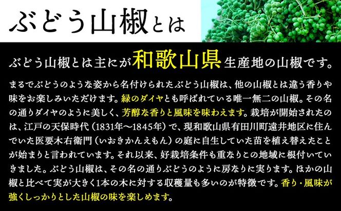 ぶどう山椒の佃煮 1袋 100g 株式会社しおん 《90日以内に出荷予定(土日祝除く)》 和歌山県 紀の川市---wsk_csiontk_90d_22_9000_100g---