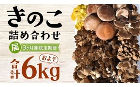 【3ヶ月定期便】きのこ の 詰め合わせ Lサイズ( 約2kg ) （茨城県共通返礼品：城里町） キノコ セット 野菜 低カロリー ダイエット デトックス バラエティ セット 新鮮 [DY007us]