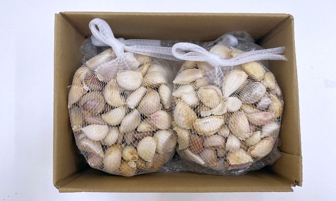 【訳あり】毎日食べて元気モリモリ！国東産乾燥にんにく/バラ0.8kg/こだわり減農薬栽培_2611R