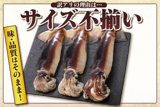 【スルメイカ もっとたっぷり約1.5kg サイズ不揃い】冷凍 訳あり 国産 バラ凍結 産地直送 鮮度抜群 いか イカ するめいか スルメイカ 刺身 使いやすい 便利 大人気 ふるさと納税 返礼品 香美町 香住 山米鮮魚 17000円 74-18