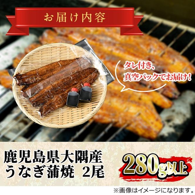 【0263708a】鹿児島県産東串良町のうなぎ蒲焼(2尾・計280g以上・秘伝のタレ付き) うなぎ 高級 ウナギ 鰻 国産 蒲焼 蒲焼き たれ 鹿児島【うなぎ太郎】