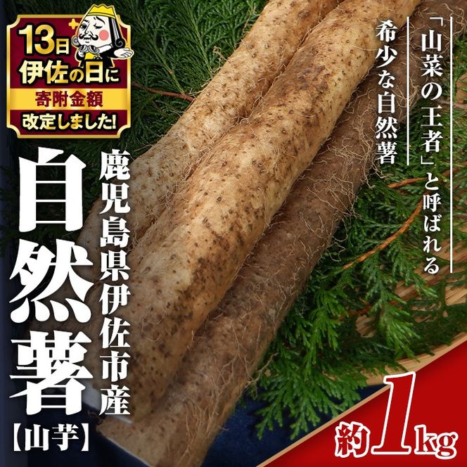 �y���������ɍ��s�zisa804 �y�ɍ��̓��E�񕍊z����z�s���ԁE���ʌ���F2026�N1����菇�������\��t�������ɍ� ���R��(��1kg) ���Y �������Y �ɍ��s ���˂񂶂� �R�� �Ƃ�� �Y�n���� �① �y�G�R�t�@�[���i�r�z