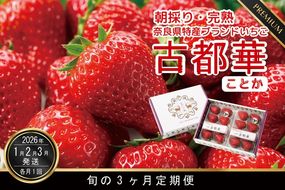 定期便 先行予約 【1・2・3月発送3ヶ月定期便】奈良県特産 高級ブランドいちご「古都華」旬の３ヶ月定期便 // いちご イチゴ 古都華 フルーツ 果物 旬 限定 ブランド 定期便 朝採り 完熟 いちご ことか イチゴ 先行予約