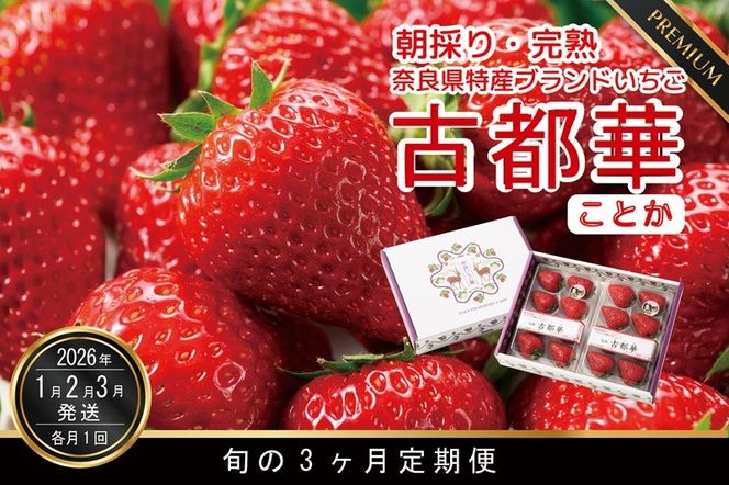定期便 先行予約 【1・2・3月発送3ヶ月定期便】奈良県特産 高級ブランドいちご「古都華」旬の３ヶ月定期便 // いちご イチゴ 古都華 フルーツ 果物 旬 限定 ブランド 定期便 朝採り 完熟 いちご ことか イチゴ 先行予約 贈答用 ギフト 化粧箱