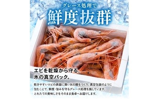 甘エビ 北海道 漁師採りたて 甘えび 400g×2箱 留萌産 あまえび 甘海老 海老 エビ 南蛮エビ つまみ おつまみ ご飯のお供 おかず 海鮮 海産物 海の幸 魚介 魚介類 刺身 お刺身 刺し身 さしみ 天ぷら 冷凍 留萌 R006-006