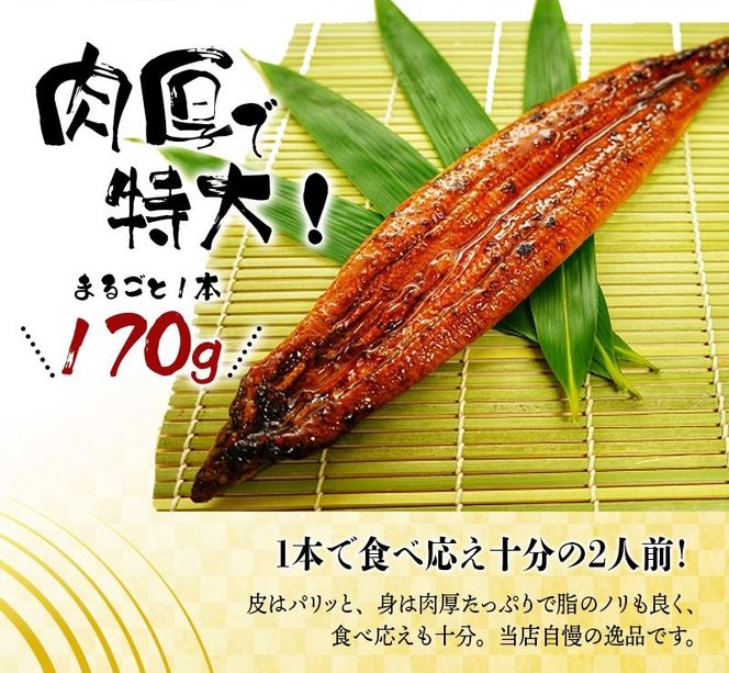 【6ヶ月定期便】大型サイズ ふっくら柔らか 国産うなぎ蒲焼き 2尾×6ヶ月連続でお届け!!  計12尾 約2040g【tkb310】