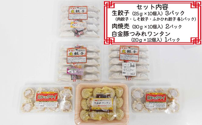 カスイ 手作り 餃子3種・焼売・ワンタン詰合せセット（5種類）【1348】
