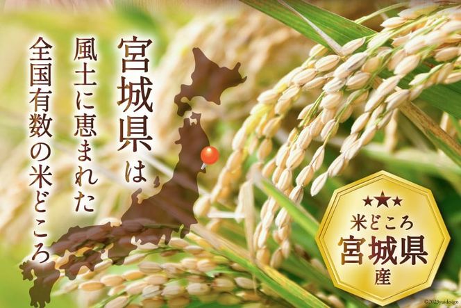 米 宮城県産 つや姫 5kg [気仙沼米穀商業協同組合 宮城県 気仙沼市 20565767] 一等米 ブランド米 白米 精米 ご飯 ごはん コメ こめ 小分け 家庭用