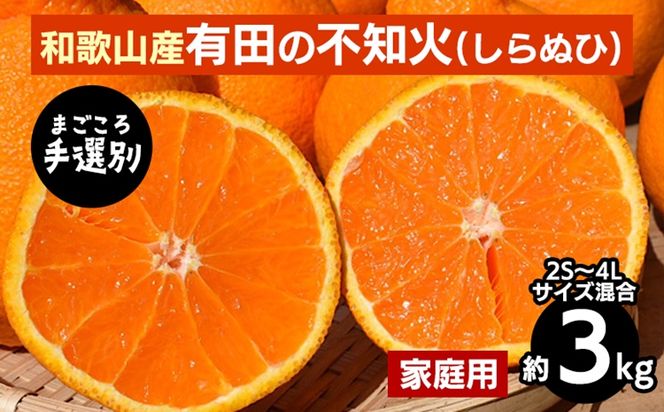 【まごころ手選別】和歌山産　有田の不知火(しらぬひ)約3kg(2S～4Lサイズ混合)【家庭用】 ※2026年2月上旬～4月下旬頃に順次発送予定