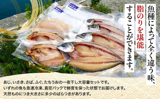 【一本釣り 匠の漁】佐田岬 玉手箱セット 5種×各2枚（計10枚） IKTJ006