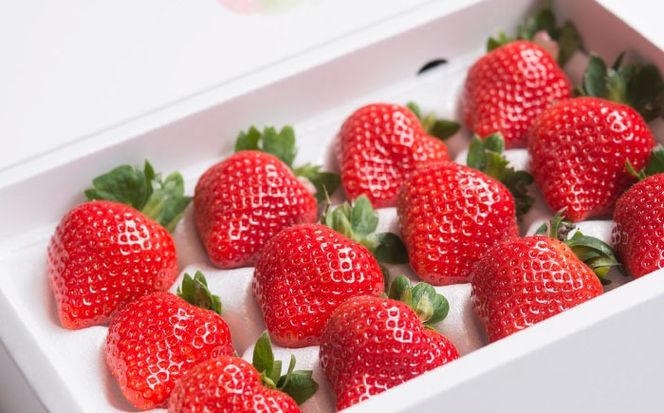 【2025年12月上旬より順次発送】 福岡産 あまおう ギフト箱（12-15粒）《築上町》【南国フルーツ株式会社】 果物 苺 いちご[ABET003]