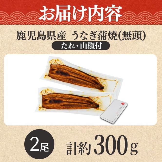 【0104347a-10E】＜10営業日以内発送＞東串良町のうなぎ蒲焼(無頭)(2尾・計約300g・タレ、山椒付) うなぎ 高級 ウナギ 鰻 国産 蒲焼 蒲焼き たれ 鹿児島 ふるさと 人気 スピード発送 スピード便 【アクアおおすみ】