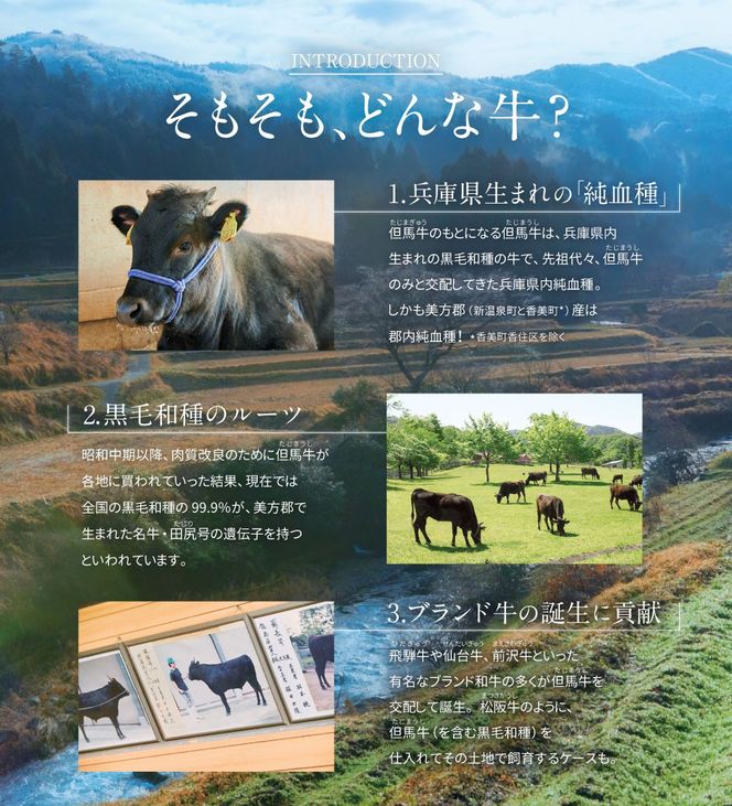 【ふるさと納税】但馬牛 赤身焼き肉用（モモ又は肩） 500g お肉 肉 牛肉 赤身 赤身肉 モモ モモ肉 牛モモ 肩 肩肉 牛肩 焼肉 焼き肉 BBQ バーベキュー 冷凍 お取り寄せ グルメ お祝い 内祝い 【配送不可地域：離島】【1046854】兵庫県 新温泉町 送料無料