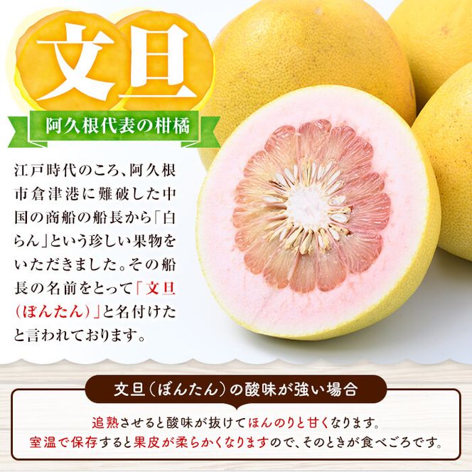 ＜先行予約受付中！2027年1月上旬以降順次発送予定＞訳あり！鹿児島県阿久根市産ボンタン(計8kg)国産 ぼんたん 文旦 柑橘 果物 フルーツ【松永青果】akn053-02
