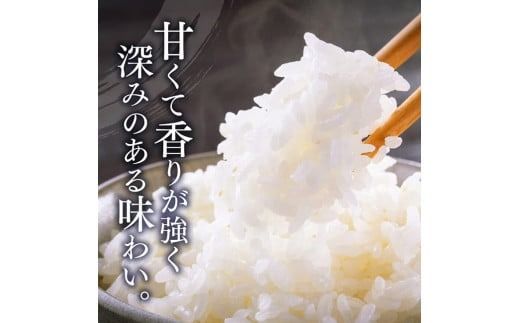 【3ヶ月定期便】【令和7年産】黒木農園のお米「いのちの壱(白米)」5kg 【 米 お米 白米 国産 宮崎県産 いのちのいち おにぎり 】 [D03227t3]