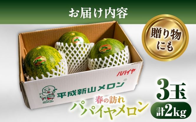 2026年3月中旬〜発送】【平成新山メロンPREMIUM（とみちゃん厳選