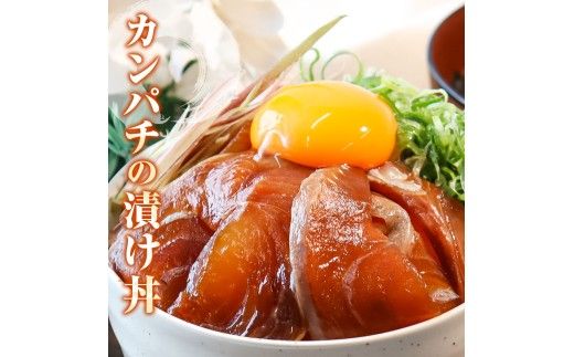 訳あり海鮮漬け丼（タイ6P・カンパチ4P）セット 漬け丼 漬け 鯛 かんぱち 勘八 白身魚 海鮮 魚 冷凍 食品 保存食 土佐 海鮮丼 漬け丼【企業組合　宇佐もん工房】 [BQAB028] 