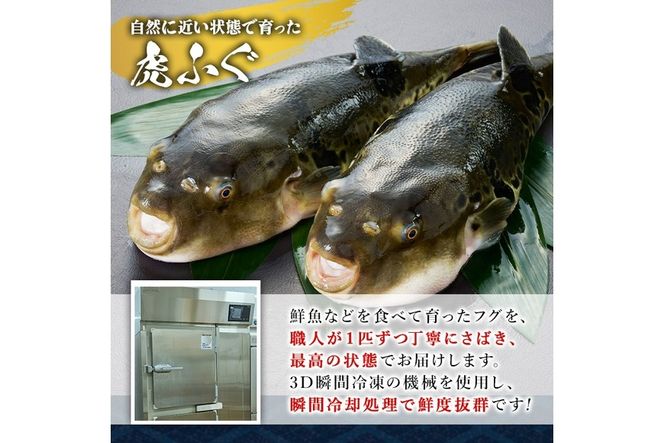 虎ふぐセット(4-5人前) ふぐ フグ トラフグ とらふぐ あら アラ 鍋用 刺身 皮 ひれ 薬味付き【GP002】【高瀬水産】