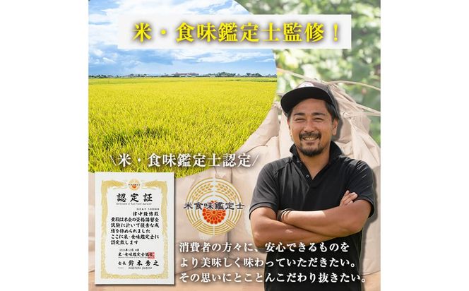 特別栽培米！川崎さん自慢のなつほのか 白米 (4.5kg×2袋・計9kg)  b0-221