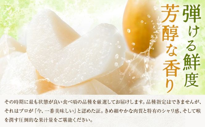 先行予約 旬の梨 梨 約2kg 約4kg 株式会社エフビーネット《出荷時期をお選びください》熊本県 氷川町 果物 フルーツ 熊本県産 青果物 和梨 ジューシー---hkw_efn_1_2kg---