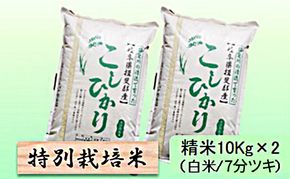 【令和7年産】特別栽培米 20kg【白米、7分ツキ】（コシヒカリ）