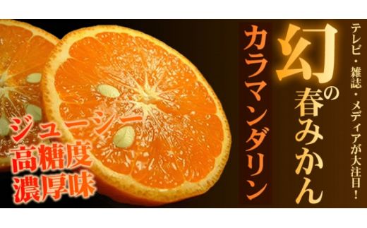  カラマンダリン 5kg サイズおまかせ / みかん 蜜柑 柑橘 果物 フルーツ 紀伊国屋文左衛門本舗 ※2027年4月上旬～5月上旬頃に順次発送予定(お届け日指定不可) 【kmtb015-r-5】