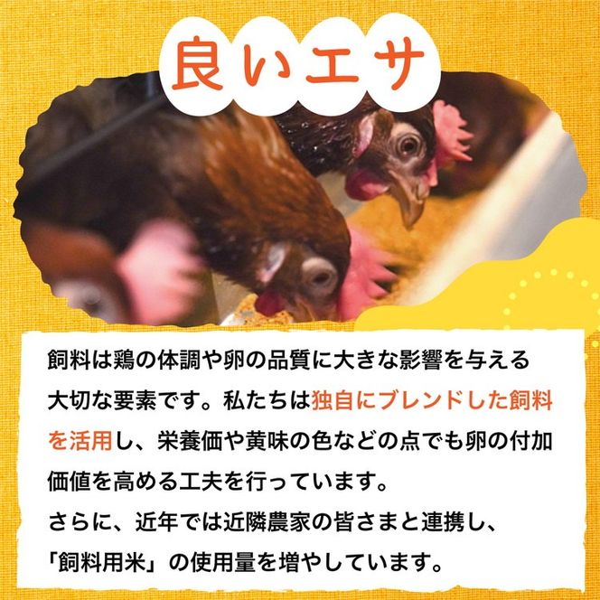 新鮮 卵 京都・丹波 霧の卵 30個（25個+卵割れ保証5個）生卵 たまご 鶏卵 小分け 贈答 ギフト◇ ※北海道・沖縄・離島への配送不可