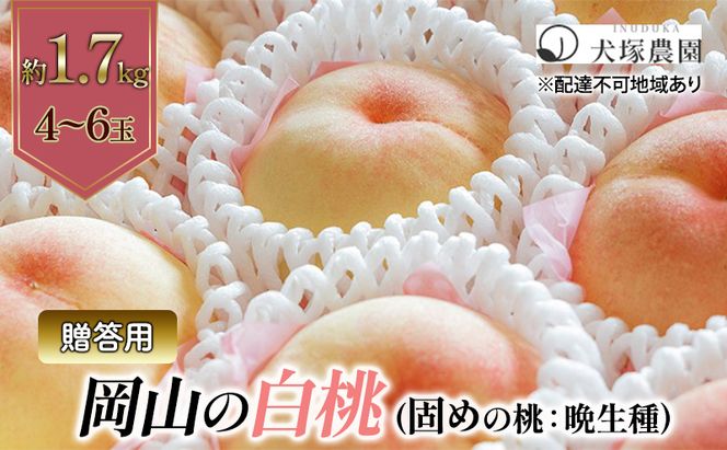 固めの桃 2026年 先行予約 贈答用 岡山の 白桃（晩生種）約1.7kg 4～6玉 岡山県 フルーツ もも 桃 モモ ピーチ 人気 新鮮 フルーツ 桃 フルーツ もも 桃 ギフト くだもの 桃 もも 果物 フルーツ 桃 もも 