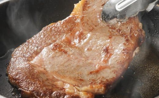 宮崎牛 ロースステーキ500g   K18_0010_6