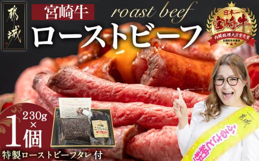 y{茧ssz{苍[Xgr[t 230g×1_13-2601_(ss) [Xgr[t [Xgr[t^t  {苍  Mtg p  M]񂨂߂̋ԗi    ThCb` AW