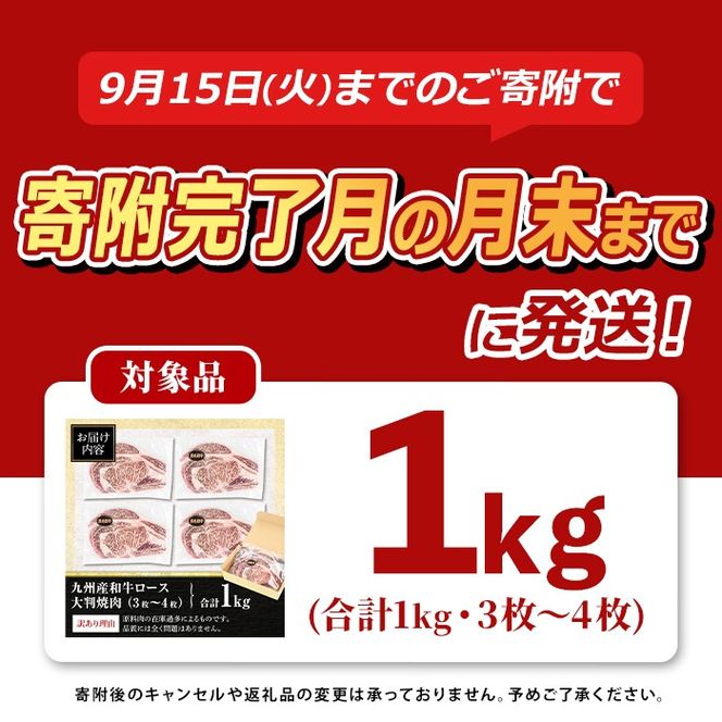 isa574 【寄附完了月の月末までに発送！】＜訳あり＞九州産和牛ロース大判焼肉(合計1kg・3枚～4枚) 4等級以上 国産 真空包装 真空パック リブロース ステーキ 牛 うし 牛肉 アウトドア BBQ 冷凍 【サンキョーミート株式会社】